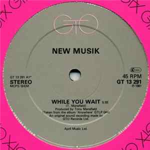 New Musik - While You Wait / From The Village / Guitars Mp3