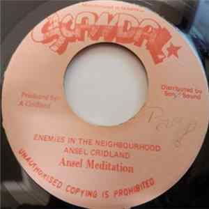 Ansel Meditation - Enemies In The Neighbourhood Mp3