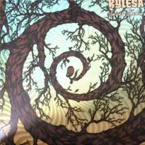 Kylesa - Spiral Shadow Mp3