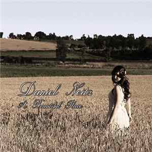 Daniel Neitz - A Beautiful Place Mp3