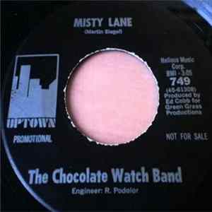The Chocolate Watchband - Misty Lane Mp3