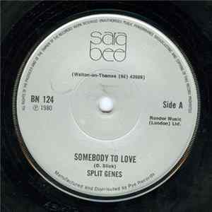 Split Genes - Somebody To Love Mp3