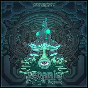 Setanic - Glowing Mushrooms Mp3