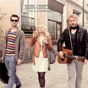 Young Chinese Dogs - Life in a Cardboard Box Mp3