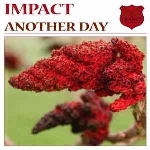 Impact - Another Day Mp3
