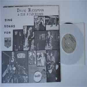 David Nudelman & The Wild Breed - Sing Songs For Underage Kooks Mp3