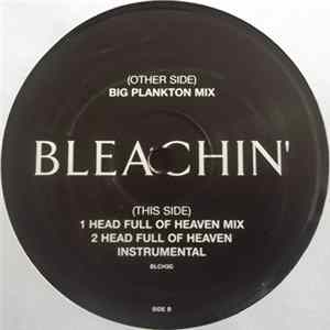 Bleachin' - Bleachin' Mp3