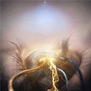 The Agonist - Eye Of Providence Mp3