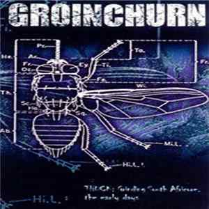 Groinchurn - Thuck - Grinding South Africore, The Early Days Mp3