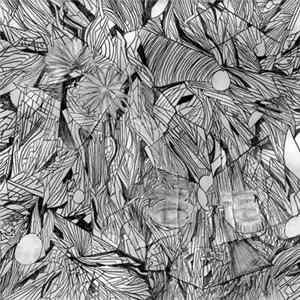 Steel Diamonds - Obsidian Butterfly Mp3