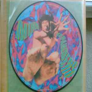 Various - Mindexpanders 2 (In Search Of The Exstatic Kinetic Bombastic Multi-Freaked-Up Outer-Spacial Groove) Mp3