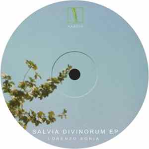 Lorenzo Soria - Salvia Divinorum EP Mp3