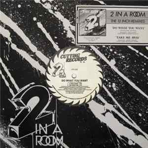 2 In A Room - Do What You Want / Take Me Away Mp3