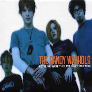 The Dandy Warhols - Not If You Were The Last Junkie On Earth Mp3