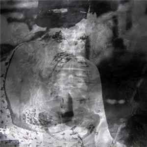 Imaginary Forces - Homonids Mp3