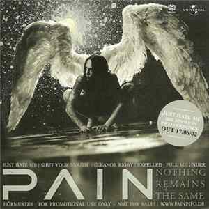 Pain / Substyle - Nothing Remains The Same / I'm God And This Is My Day Mp3