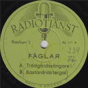 No Artist - Fåglar Mp3