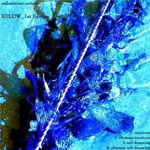 endometrium cuntplow - BELOW_1st Edition Mp3