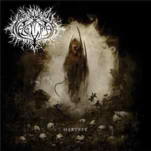 Naglfar - Harvest Mp3