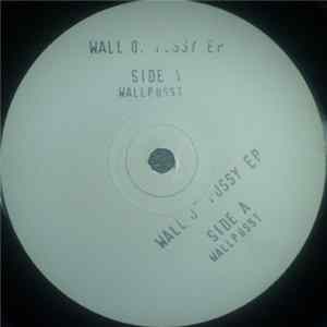 Various - Wall Of Pussy EP Mp3