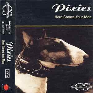 Pixies - Here Comes Your Man Mp3