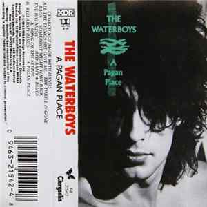 The Waterboys - A Pagan Place Mp3