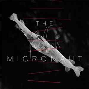 The Micronaut - Friedfisch Mp3