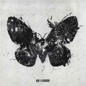 Various - XX Mp3