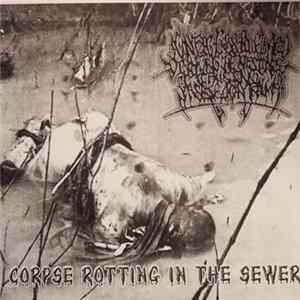 Agonizing Excess Bowel Acid Dissolving The Intestines Causing Massive Organ Trauma - Corpse Rotting In The Sewer Mp3