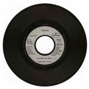 Texas - Say What You Want Mp3