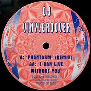 Vinylgroover - Phantasm (Remix) / I Can Live Without You Mp3