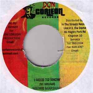 Wayne Marshall - I Need To Know Mp3