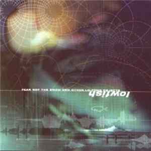 Lowfish - Fear Not The Snow And Other Lo-fiing Objects Mp3