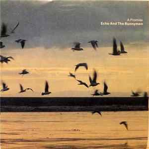 Echo And The Bunnymen - A Promise Mp3