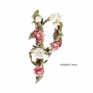 Polyphia - Muse Mp3
