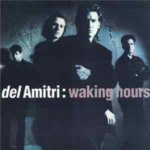 Del Amitri - Waking Hours Mp3