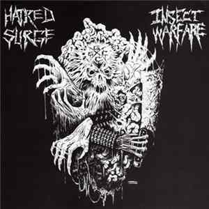 Insect Warfare / Hatred Surge - Insect Warfare / Hatred Surge Mp3