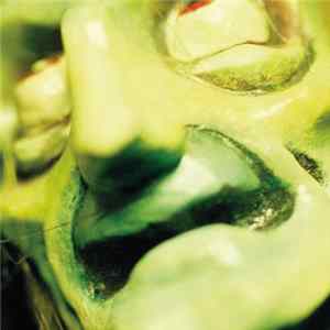 Circle - Hissi Mp3