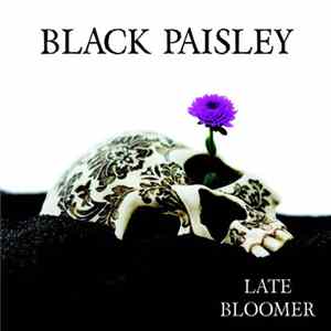 Black Paisley - Late Bloomer Mp3