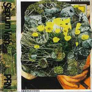 Sisprum Vish - PRN Mp3