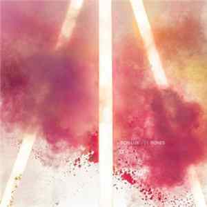 Son Lux - Bones Mp3