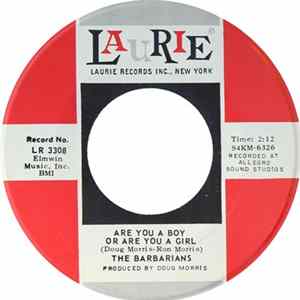 The Barbarians - Are You A Boy Or Are You A Girl Mp3