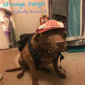 Strange Ranger - Nobody Knows If Mp3