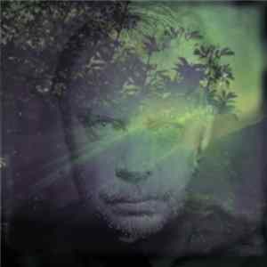 Delaney Davidson - Shining Day Mp3
