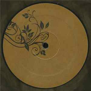 The Analog Roland Orchestra - Home Versions Mp3