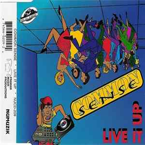 Common Sense - Live It Up Mp3