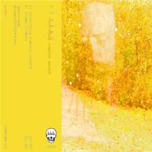 Llarks - Everything Remains Unsaid Mp3