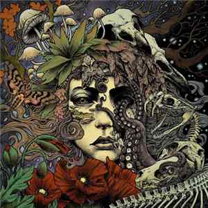 Dorre, Bethmoora - Split Mp3