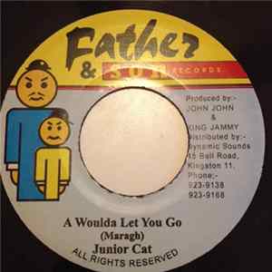 Junior Cat - A Woulda Let You Go Mp3