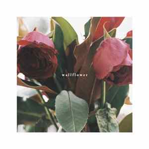 Recovery Room - Wallflower Mp3